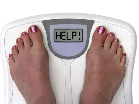 Mencapai Berat Badan Ideal Anda - Multibahasa