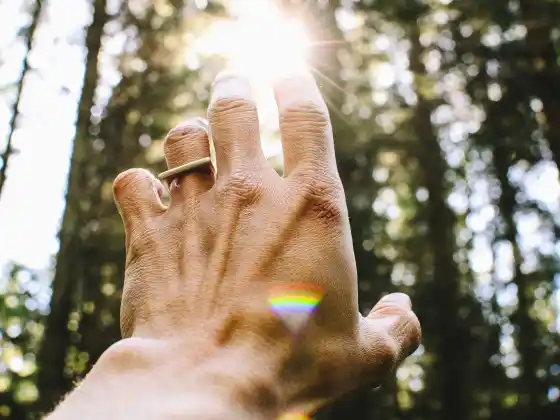 Reiki Seviye 1