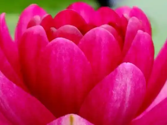 Limpeza de primavera para corpo e alma: além da limpeza