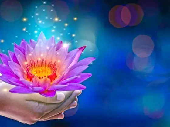 Fin de semana de maestría en Reiki nivel 3