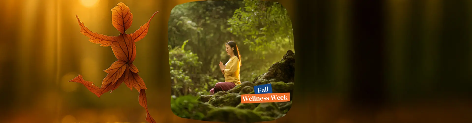 Pelukan Musim Gugur: Meditasi Reiki Ekuinoks Musim Gugur - Online Class by Jerry Mikutis