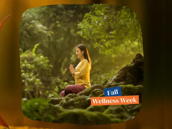 L'étreinte de l'automne : une méditation Reiki pour l'équinoxe d'automne